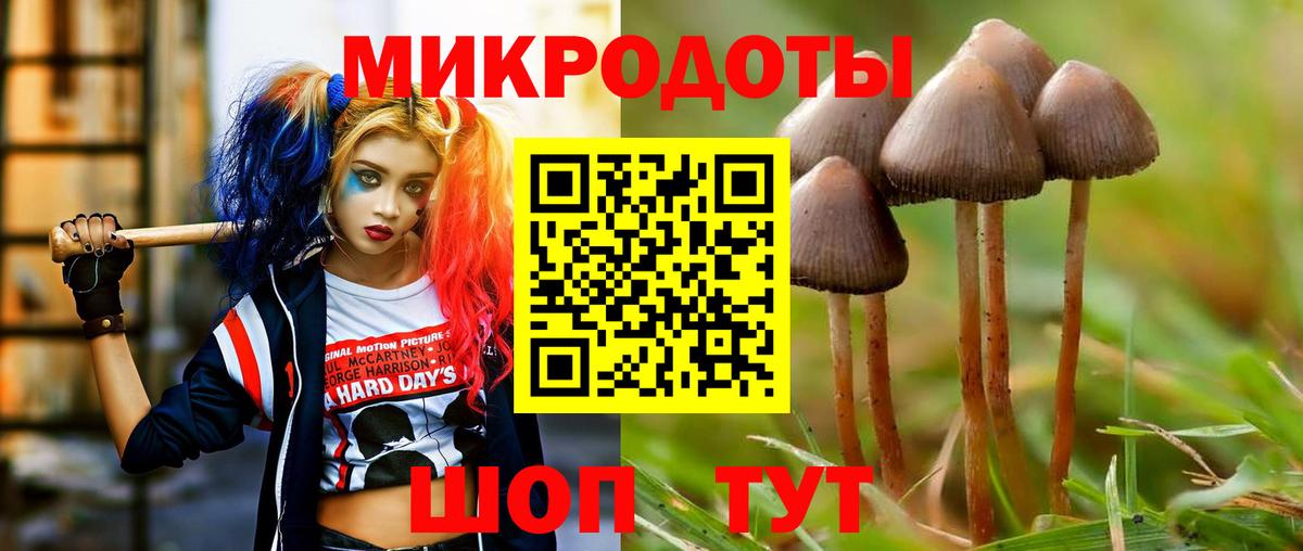 где купить наркотик  Вход с VPN  Чита  Галлюциногенные грибы мухоморы  Галлюциногенные грибы прущие грибы 